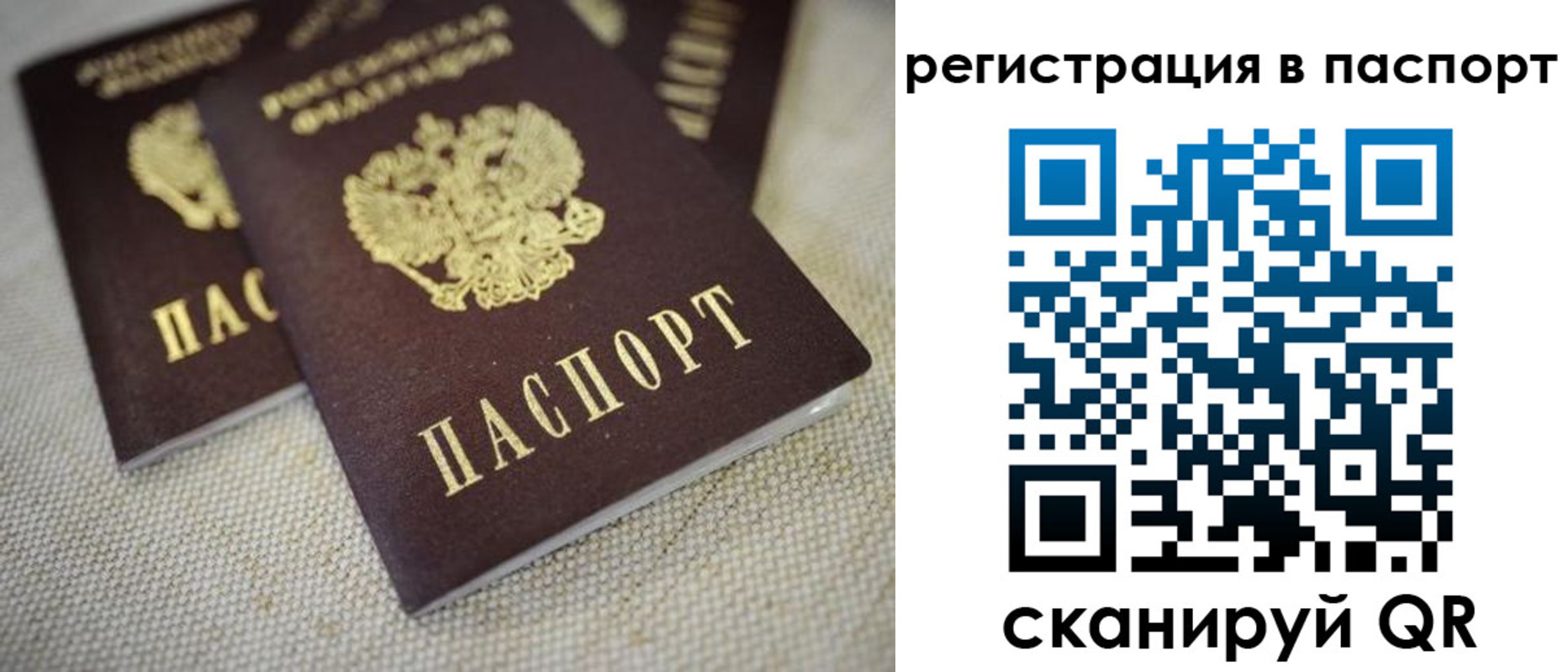 прописка гарантия в Кораблино